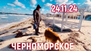 24.11.24 ЧЕРНОМОРСКОЕ. Кто вокруг нас? Будем добрее 🙏💖