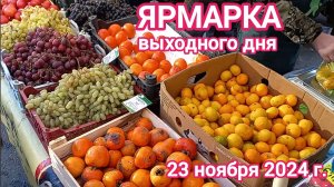 Краснодар - Ярмарка выходного дня на ул. Одесская - цены на продукты - 23 ноября 2024 г.