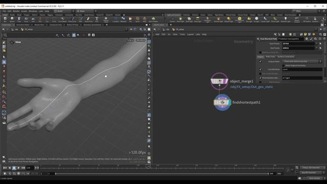 01 Geo Setup & Main Curves