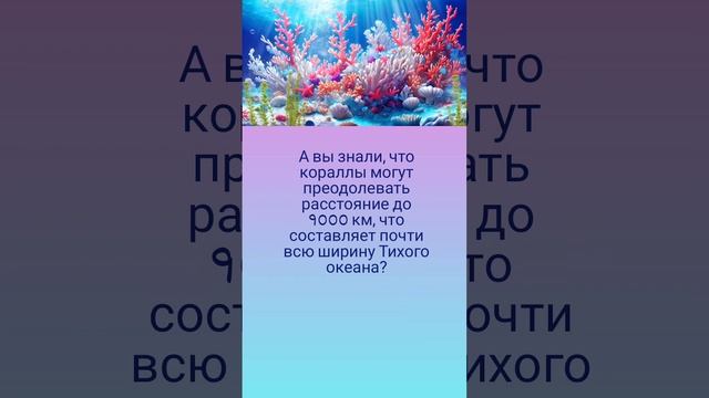 Удивительные кораллы 🤗🐚🌊