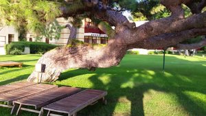 Турция. ..Robinson  Club. ..Camyuva