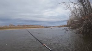🎣ВТОРОЙ ДЕНЬ РЫБАЛКИ🎣 В ✔️ОКТЯБРЕ 2024✔️
