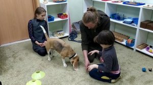 Канистерапия