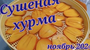 Сушеная хурма.Фрипсы в домашних условиях.Псковская жизнь.
