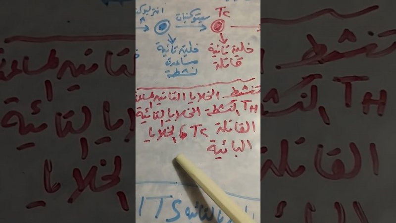 رؤى دقينش تعليمى ثانوى بالرسم والشرح العلاقة بيت التاءية المساعدة والبلعمية والقاتلة السامةمناعة خل