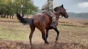 Скачки Верх Аскиз 23.09.2023