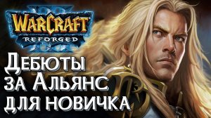 Дебюты за Альянс для новичка: Разбираемся в Warcraft 3 Reforged