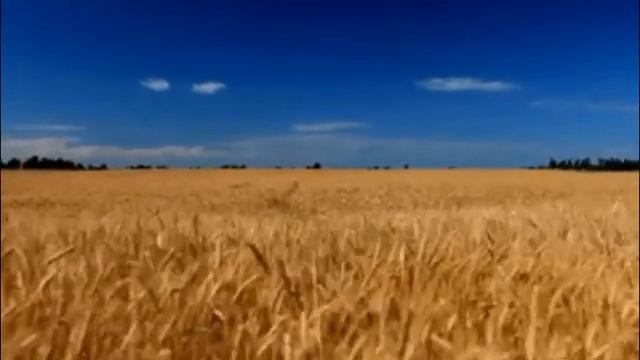 Обойди меня горе,. Стихи Елены Александренко, музыка и видео Татьяны Макаровой
