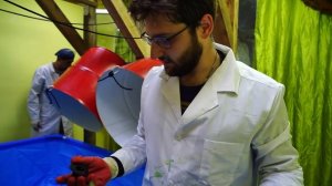 (Экспериментаторы) 100 000 литров слоновьей зубной пасты уничтожили дом.