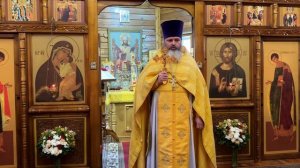 О милосердном самаритянине . Протоиерей. Иаков Конкин 24-11-2024