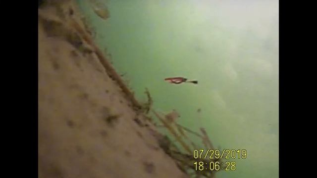 Подледные поклевки