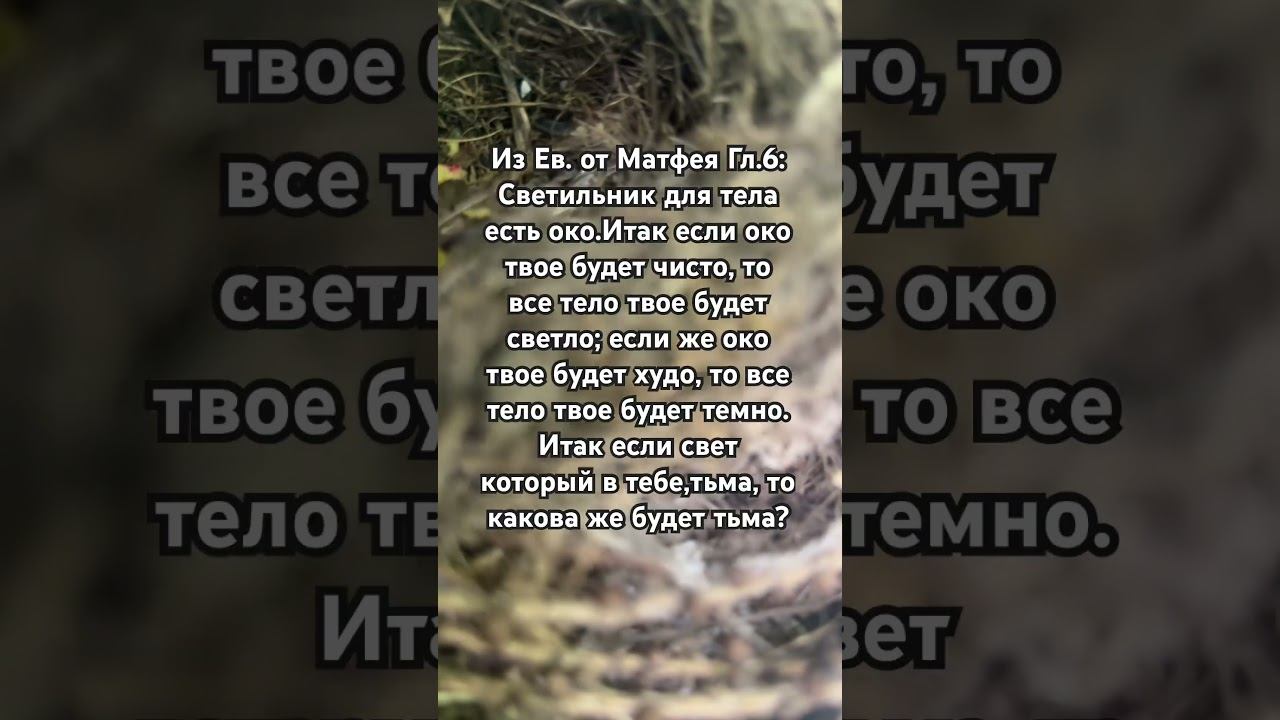 Из Евангелия от Матфея глава 6_8 #евангелие #евангелиеотматфея #библия #апостолы #цитаты
