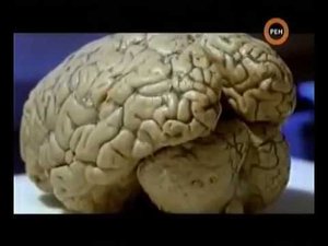 Запретная археология