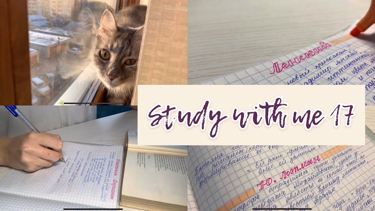 Study With Me №18 | Homework | Учись Со Мной | Motivation смотреть онлайн
