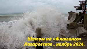 Шторм на "Фламинго"! Ноябрь 2024!