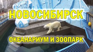 Поездка в НОВОСИБИРСК. 3 часть. Океанариум и зоопарк.
