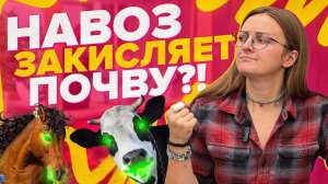 ЧТО ТАКОЕ КИСЛОТНОСТЬ ПОЧВЫ? ОРГАНИЧЕСКИЕ И МИНЕРАЛЬНЫЕ УДОБРЕНИЯ, КОТОРЫЕ ЗАКИСЛЯЮТ ПОЧВУ