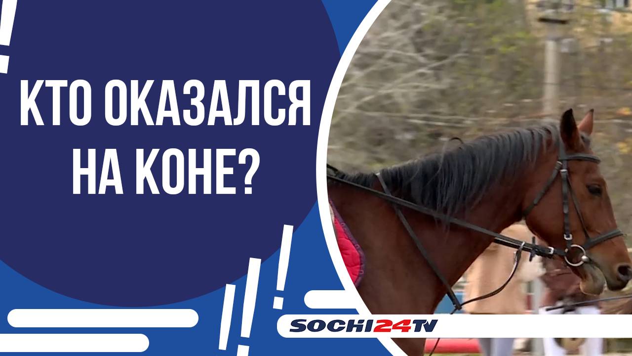 ГОРОДСКОЙ ТУРНИР ПО КОННОМУ СПОРТУ ПРОШЁЛ В СПОРТИВНОЙ ШКОЛЕ №15 смотреть онлайн