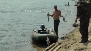 Обь, август, ловля щуки