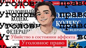 Убийство, совершенное в состоянии аффекта. Уголовное право, Выпуск №4.