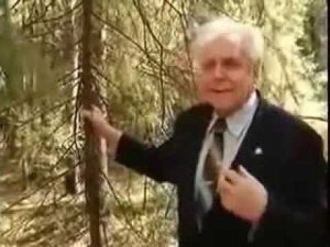 Методика для движения лимфы