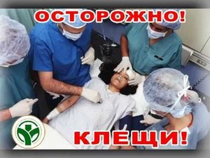 Конго-крымская геморрагическая лихорадка