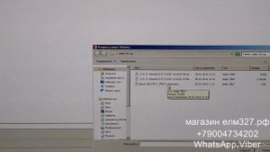 Chiploader прошивка эбу 17 9 71