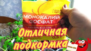 Отличная подкормка для развития корневой системы.