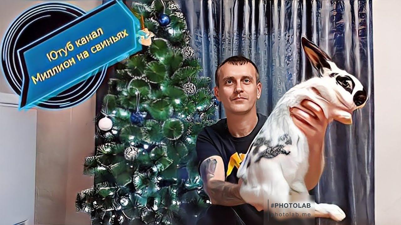 Привёз новую генетику на своё хозяйство! Доставка и отправка моих элитных поросят по всей России !!