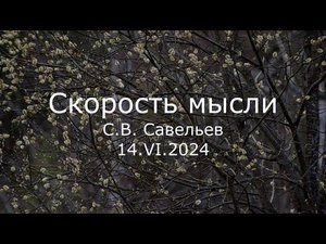 С.В. Савельев - Скорость мысли
