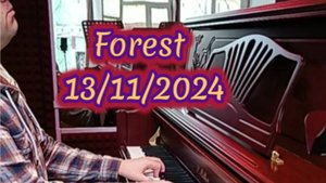 Forest 13.11.2024.
