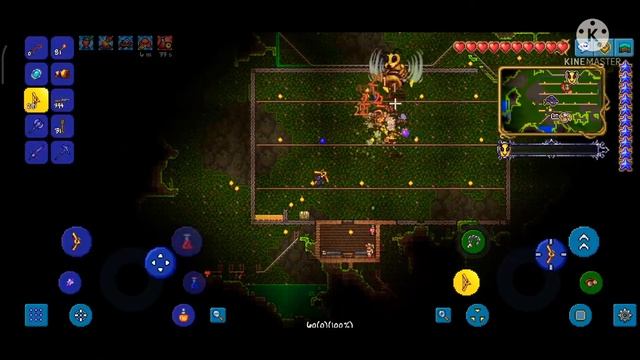 Прохождение на эксперте [ terraria 1.4 ]