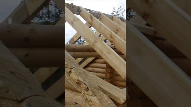 строительство дома из оцилиндрованного бревна #ритмстрой #дом1