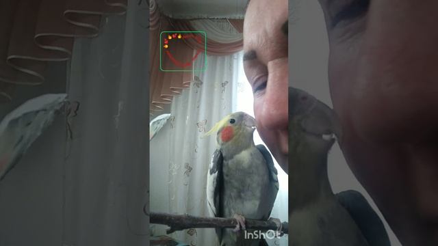 Ангел мой. Татьяна Ярош-Агапитова.