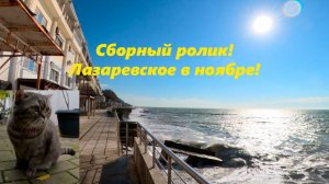 Ролик обо всем!!  Сборный! Лазаревское в ноябре 2024.!
