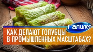 Галилео 🥬 Как делают голубцы в промышленных масштабах?