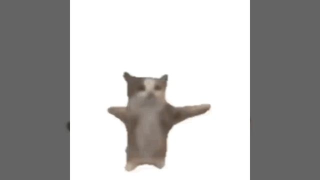 CatSim