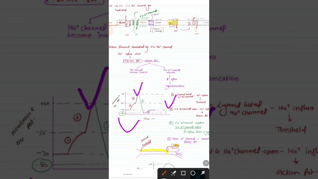 membrane potential graph 2 #neet #neetexam #neetpreparation