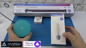 Алиса плюс Matter устройства от ZeMismart подключение  и управление в  Яндекс умный дом