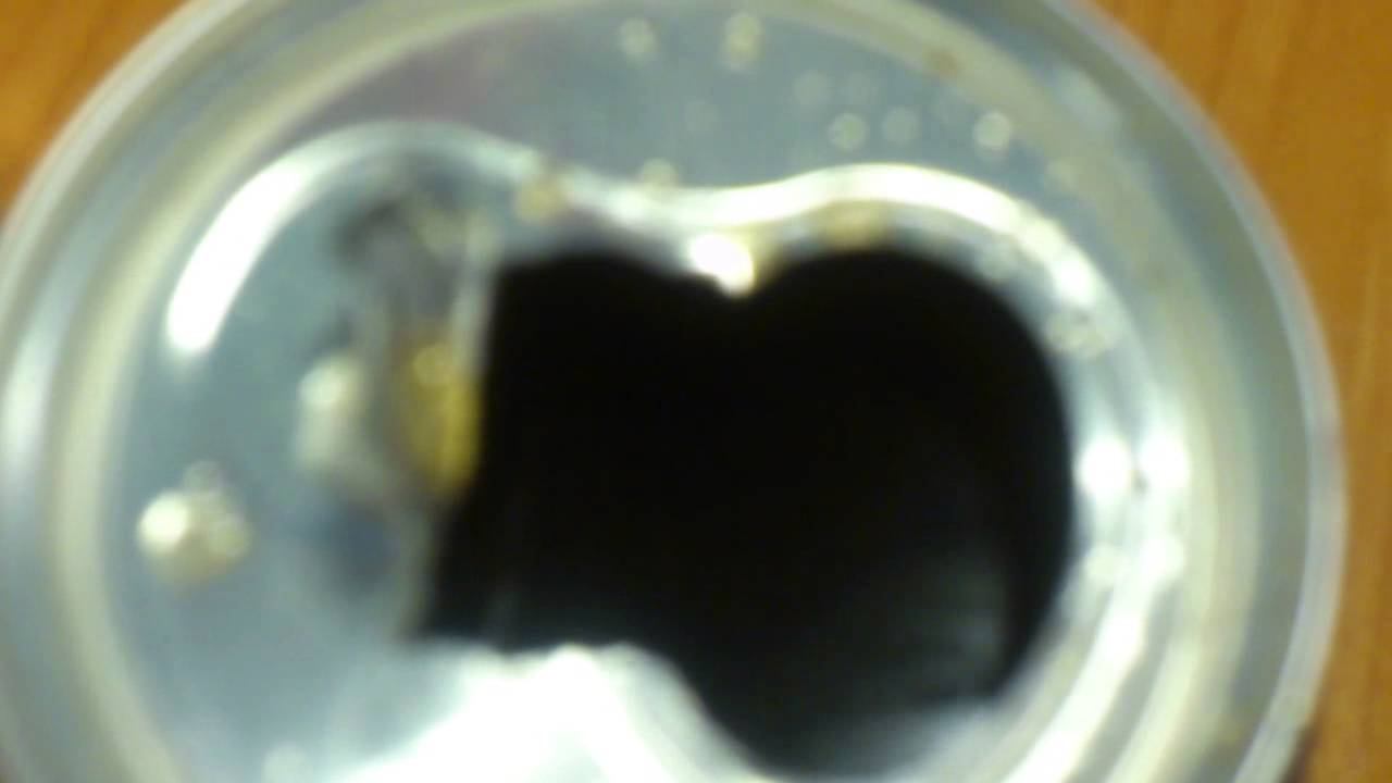 [UMC РАССМОТРИТ] COCA COLA CHERRY + рассказ про поездку в Америку смотреть онлайн