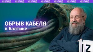 Обрыв кабелей на Балтике: диверсия или халатность. Объясняет Вассерман / Открытым текстом