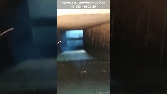 Ильшат из Туркменистана#shorts