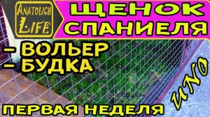 Вольер и будка для спаниеля! Щенок РОСа в новой семье.