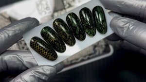 Популярный дизайн 2024-2025 🐍