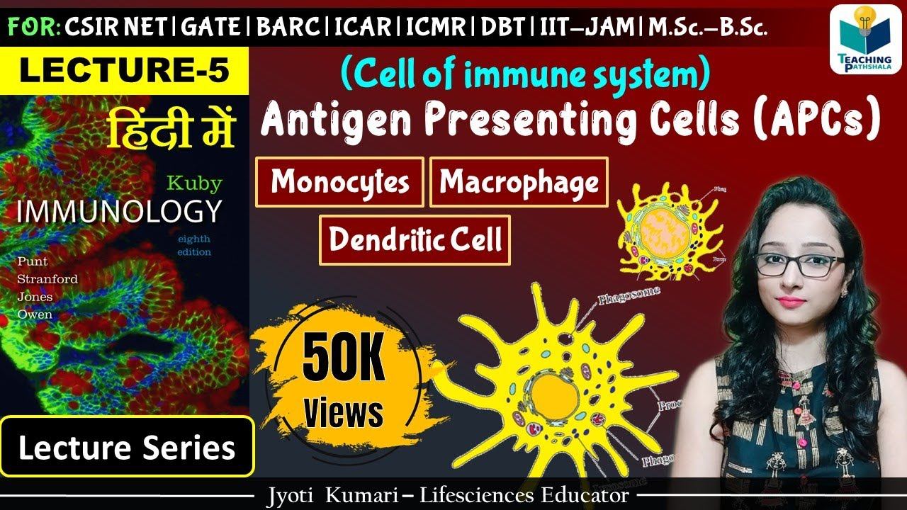 Immunology: Antigen Presenting Cells (APCs) ||(Macrophage, Monocytes, Dendritic Cells) | Lecture-5