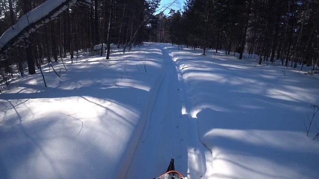 На снегоходе, Маслянинский бор смотреть онлайн