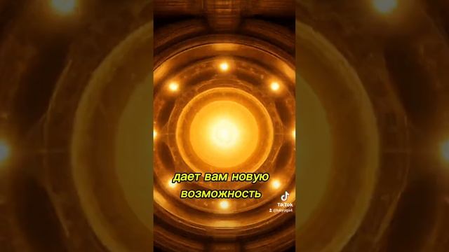 Поколение Вечной Молодости