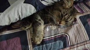 ПРОСТАЯ ЖИЗНЬ //МОЕ РАНЕЕ УТРО// ЧТО НА ЗАВТРАК?!