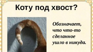 300 млн руб. на реконструкцию  "золотого" подземного перехода ушли "коту под хвост".