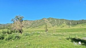 Маленькие радости большого Алтая 2024 9 серия